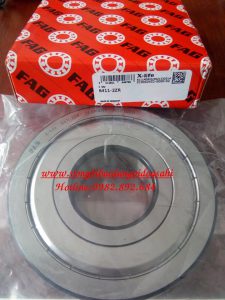 SỬ DỤNG VÒNG BI BẠC ĐẠN GỐI ĐỠ CHO ĐỘNG CƠ ĐIỆN TẠI CÁC NHÀ MÁY CHÂU ÂU