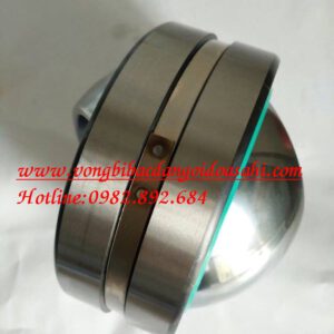 BẠC ĐẠN MẮT TRÂU