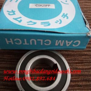 VÒNG BI - BẠC ĐẠN - CSK25