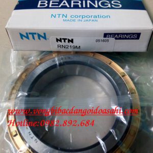 VÒNG BI - BẠC ĐẠN - RN219M NTN
