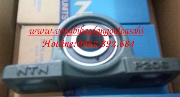 VÒNG BI BẠC ĐẠN GỐI ĐỠ UKP205-P205 – NTN