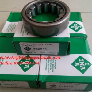 VÒNG BI - BẠC ĐẠN F66263 INA