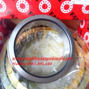 VÒNG BI - BẠC ĐẠN NJ232-E-XL-M1 FAG