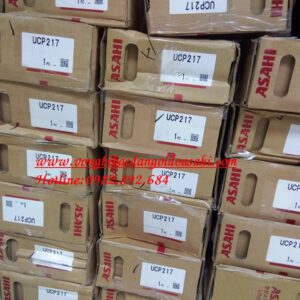 VÒNG BI - BẠC ĐẠN UCP217 ASAHI