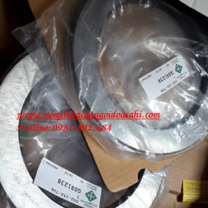 BẠC ĐẠN GS81238 INA