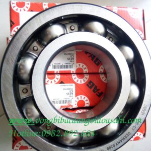 VÒNG BI - BẠC ĐẠN 6315 FAG