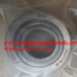 VÒNG BI - BẠC ĐẠN NUTR15