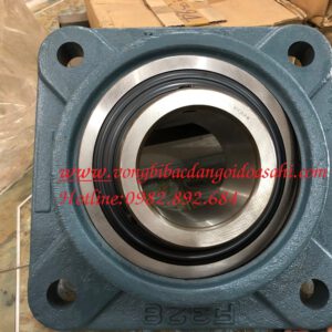 GỐI ĐỠ UCF305 - ASAHI