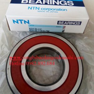 VÒNG BI BẠC ĐẠN 6313