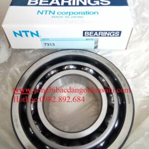 VÒNG BI BẠC ĐẠN 7313