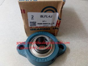 VÒNG BI BẠC ĐẠN SBLF204-LF204-LFL4J