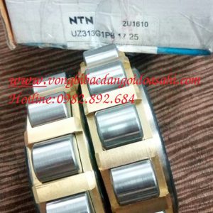 BẠC ĐẠN UZ313-17-25 G1P6 NTN