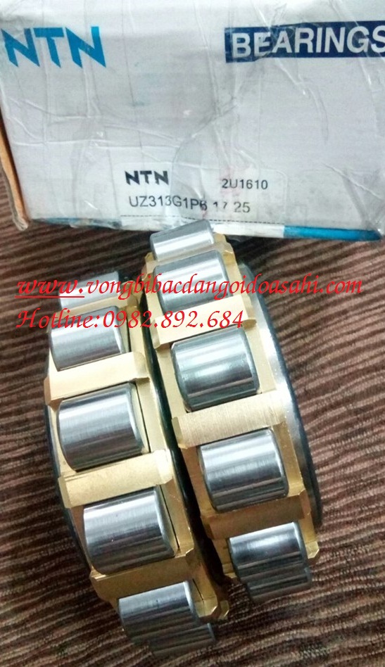 BẠC ĐẠN UZ313-17-25 G1P6 NTN
