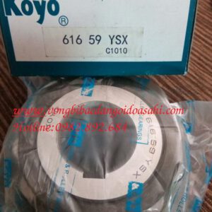 BẠC ĐẠN HỘP SỐ 61659 YSX KOYO