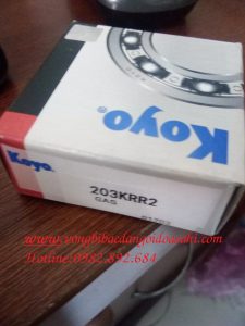 BẠC ĐẠN 203KRR2 KOYO