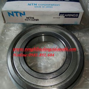 BẠC ĐẠN 6213ZNR