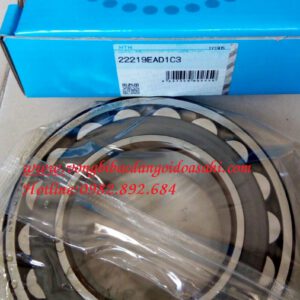 BẠC ĐẠN 22219 EAD1C3 NTN