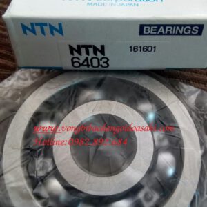 BẠC ĐẠN 6403 NTN