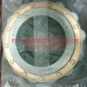 BẠC ĐẠN LỆCH TÂM RN309