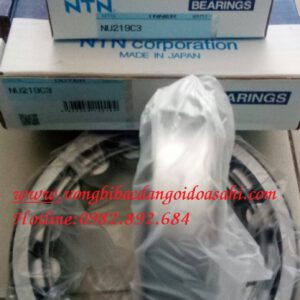 BẠC ĐẠN NU219 C3