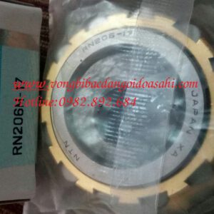 BẠC ĐẠN LỆCH TÂM RN206-17 NTN