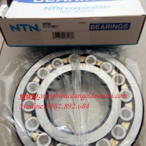 BẠC ĐẠN 21318D1 NTN