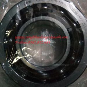 BẠC ĐẠN 7313 B TVP UA