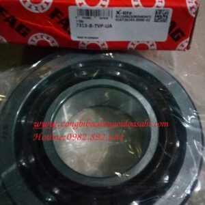 BẠC ĐẠN 7313 B TVP UA FAG