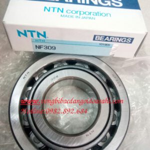 BẠC ĐẠN NF309 NTN