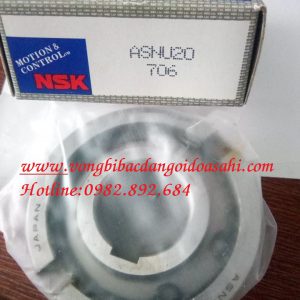 BẠC ĐẠN ASNU25 NSK