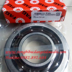 BẠC ĐẠN 7313-TVP-UA FAG