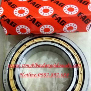 BẠC ĐẠN NU1011M1.C3