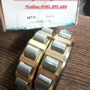 BẠC ĐẠN UZ313 G1P6