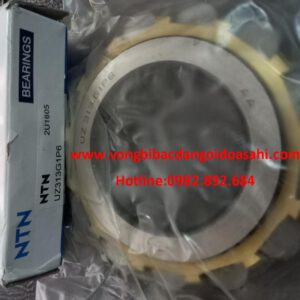 BẠC ĐẠN UZ313G1P6