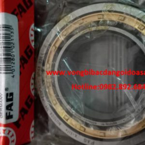 BẠC ĐẠN NU1008 M1 FAG