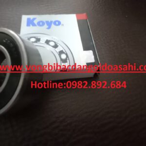 BẠC ĐẠN 6000 2RS