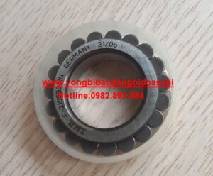 Bạc đạn 219593 RN 5 Bạc đạn 219593 RN