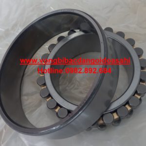 VÒNG BI NN 3012 K-C1-N-A-P5