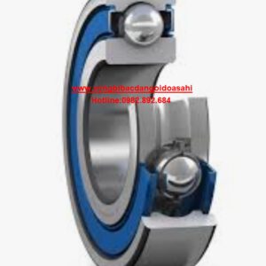 VÒNG BI 6021 2RS1/C3