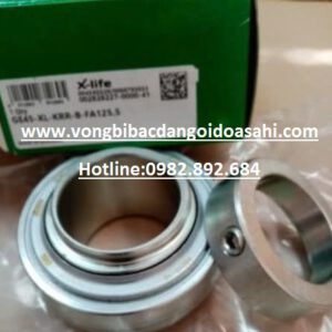 VÒNG BI RAE40-XL-NPP-B