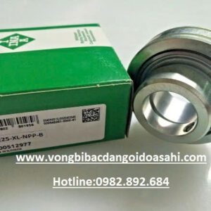 VÒNG BI RAE25-XL-NPP-B