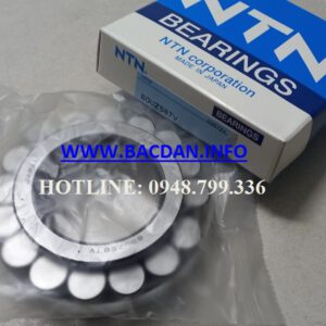 VÒNG BI RN 309